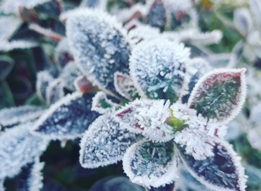 IMG 20180108 103335 339